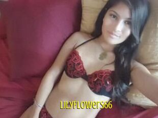 LilyFlowers66
