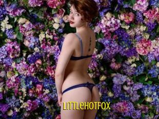 LittleHotFox