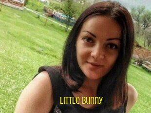 Little_Bunny_