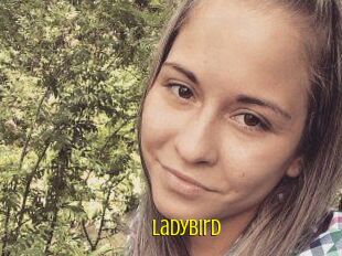 Ladybird