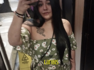 Laribis