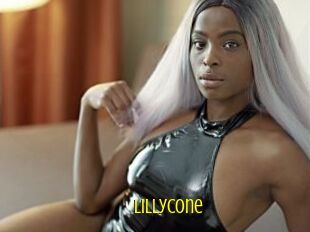 lillycone Extraits Jeunes