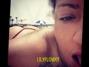 Lilyflower