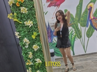Litross