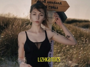 Lizhkamics