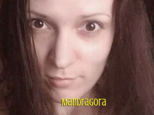 Mandragora