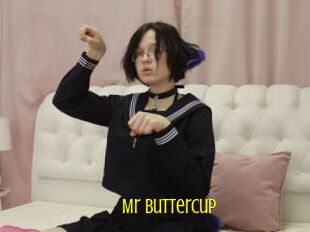 Mr_Buttercup