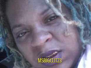 MsBigClit23