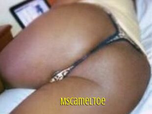 MsCamelToe