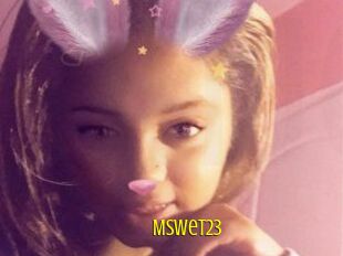 Mswet23