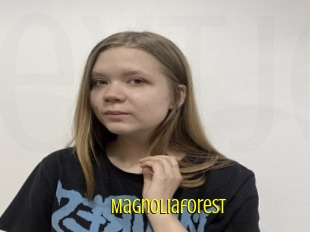 Magnoliaforest