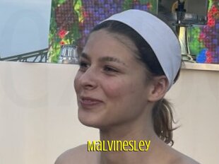 Malvinesley
