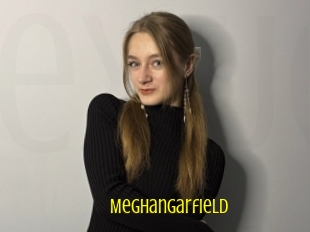 Meghangarfield