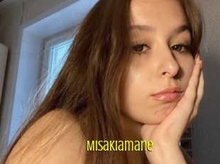 Misakiamane