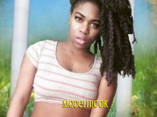 Modelmook