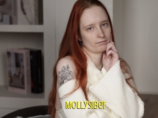 Mollysiber