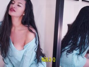 Nala_Q