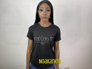 NoaKane18