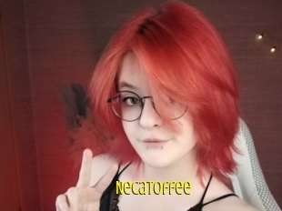 necatoffee Extraits Jeunes