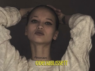 Odeliablissett