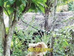 Pandora_Apple Extraits Jeunes