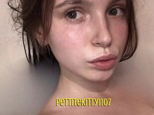 Pettitekitty1107