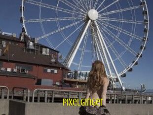 PixelGinger