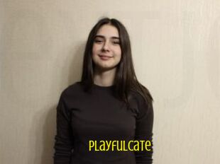 PlayfulCate