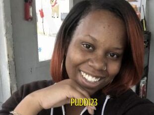 Pudd123