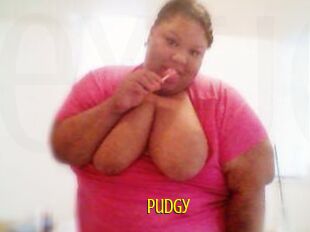 Pudgy