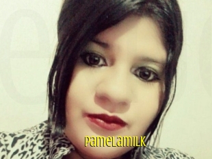 Pamelasuite