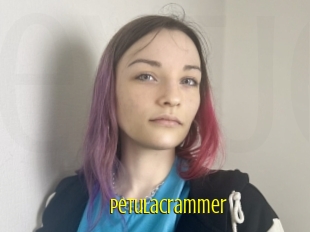 Petulacrammer