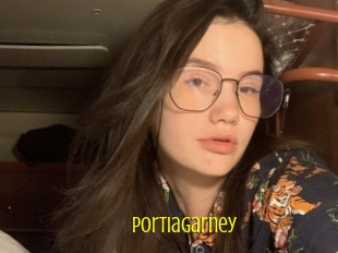 Portiagarney