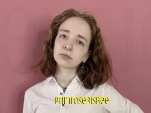 Primrosebisbee