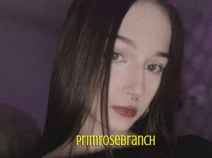 Primrosebranch