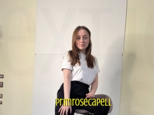Primrosecapell