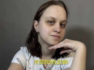 Primrosecarvin