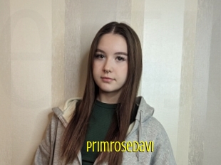 Primrosedavi