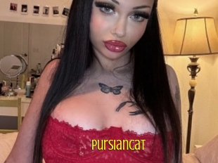 Pursiancat