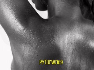 Pytbrwn69