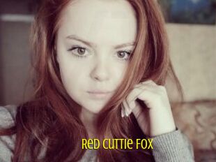 Red_Cuttie_Fox