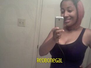 Redbonegal