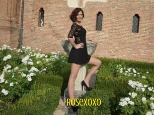 Rosexoxo