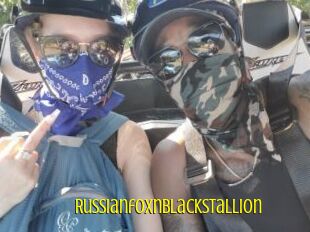 RussianfoxnBlackstallion