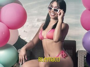 Rileynacci