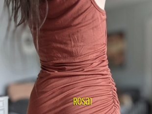 Rosa1