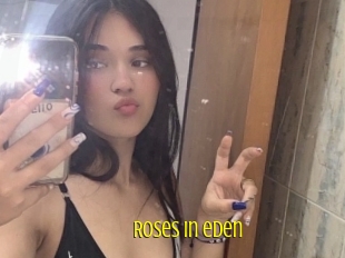 Roses_in_eden