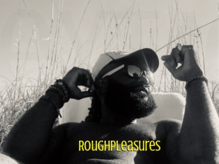 Roughpleasures