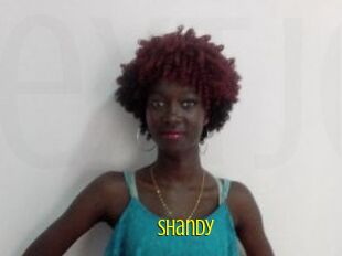 Shandy