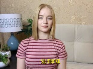 SilinBekk